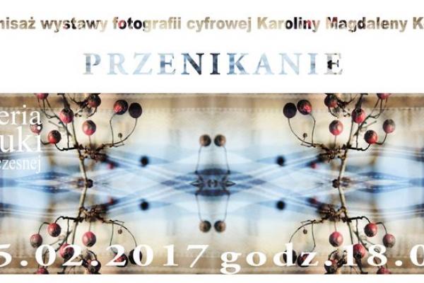 Przenikanie