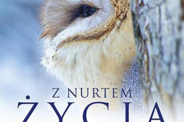 Dyskusyjny Klub Filmowy: „Z nurtem życia”