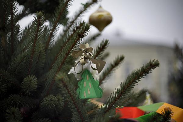 Choinki na kieleckim rynku - Fot. Małgorzata Chmiel