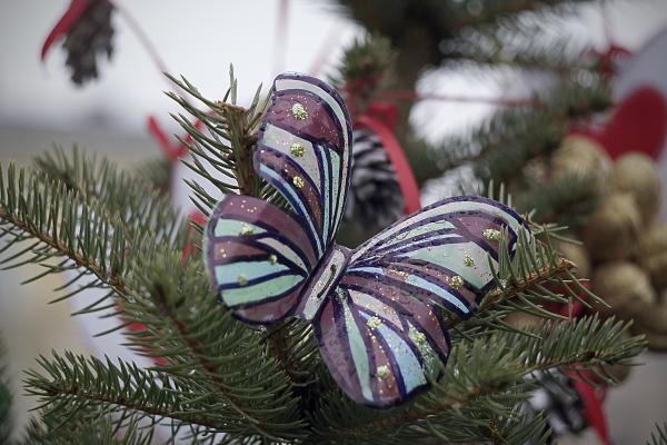 Choinki na kieleckim rynku - Fot. Małgorzata Chmiel