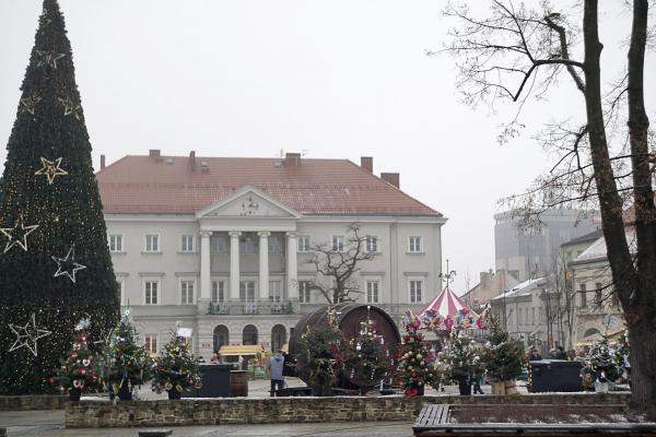 Choinki na kieleckim rynku - Fot. Małgorzata Chmiel