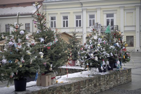 Choinki na kieleckim rynku - Fot. Małgorzata Chmiel