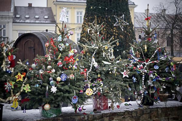 Choinki na kieleckim rynku - Fot. Małgorzata Chmiel