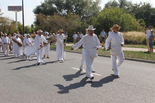 XVI Świętokrzyskie Dożynki Wójewódzkie - Źródło: WDK