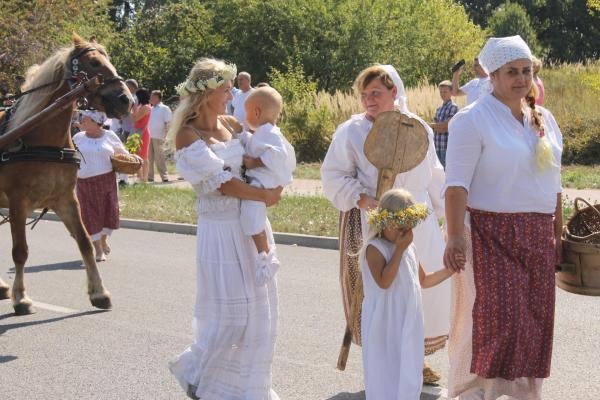 XVI Świętokrzyskie Dożynki Wójewódzkie - Źródło: WDK