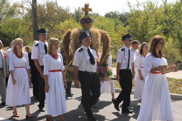 XVI Świętokrzyskie Dożynki Wójewódzkie - Źródło: WDK