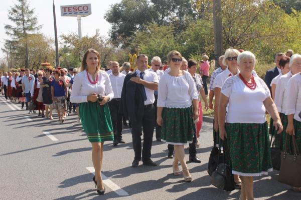 XVI Świętokrzyskie Dożynki Wójewódzkie - Źródło: WDK