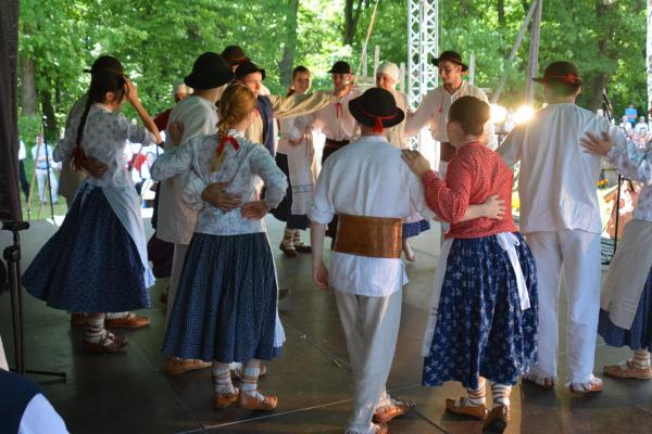 XI Ogólnopolski Festiwal Zespołów Artystycznych Wsi Polskiej - Fot. Michał Herod