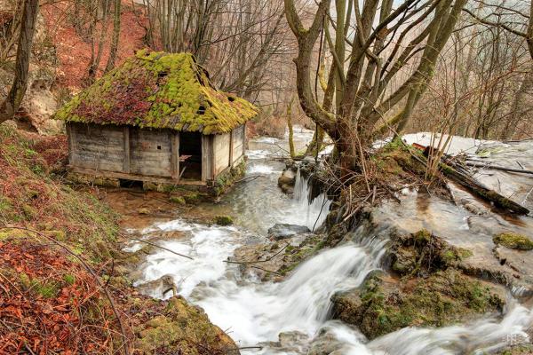 Fot. Stanko Kostica