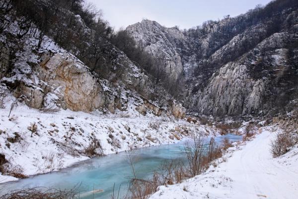 Fot. Stanko Kostica