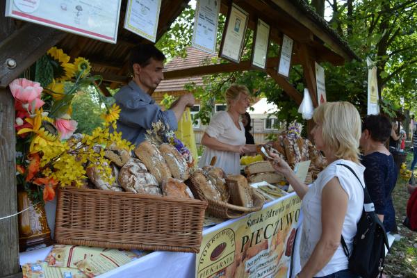 Święto Chleba 2017 - Fot. Agnieszka Markiton