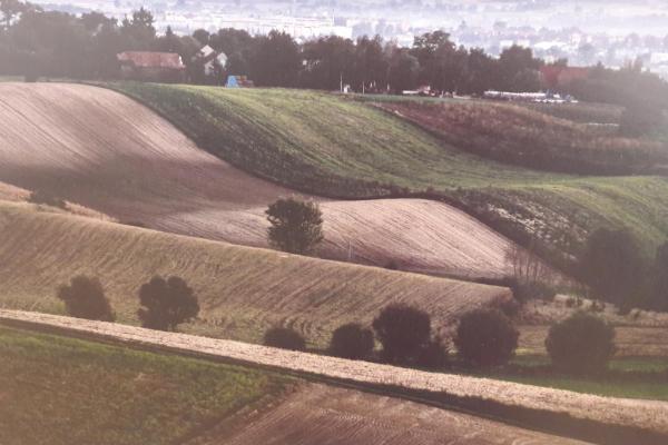 To Tu. Moje Świętokrzyskie - Fot. Robert Lubczyński