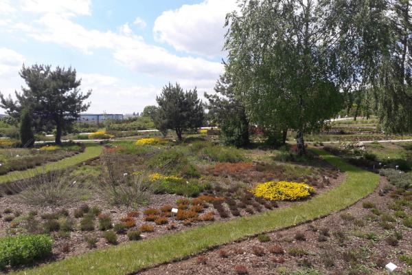 Ogród botaniczny w Kielcach - Fot. Edyta Ruszkowska