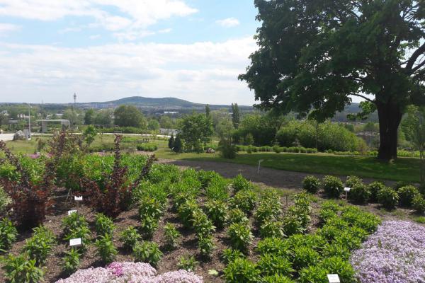 Ogród botaniczny w Kielcach - Fot. Edyta Ruszkowska