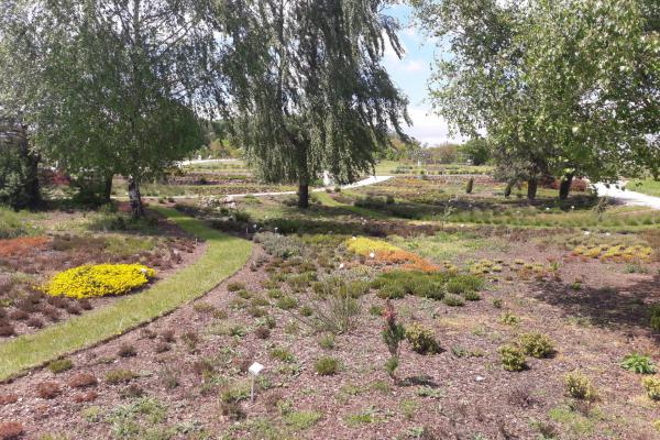 Ogród botaniczny w Kielcach - Fot. Edyta Ruszkowska