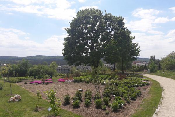 Ogród botaniczny w Kielcach - Fot. Edyta Ruszkowska