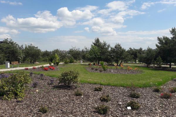 Ogród botaniczny w Kielcach - Fot. Edyta Ruszkowska