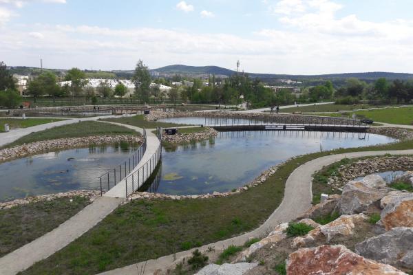 Ogród botaniczny w Kielcach