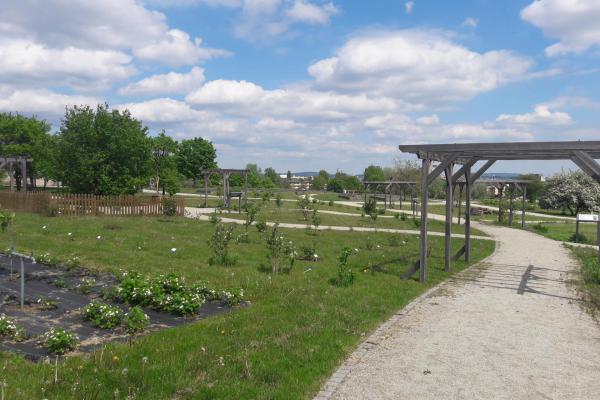 Ogród botaniczny w Kielcach - Fot. Edyta Ruszkowska