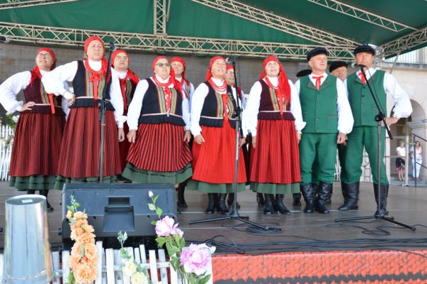 Koncert Laureatów 45. Buskich Spotkań z Folklorem w WDK - foto Krzysztof Herod