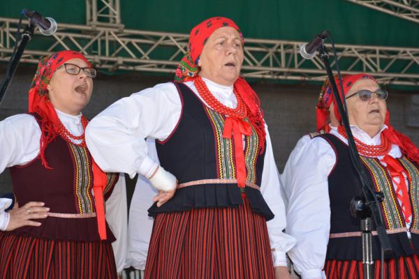 Koncert Laureatów 45. Buskich Spotkań z Folklorem w WDK - foto Krzysztof Herod