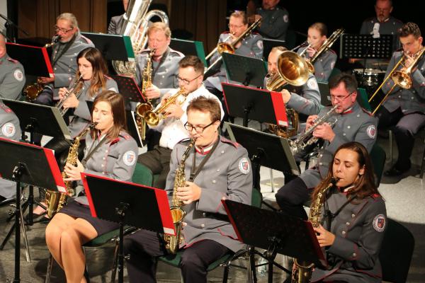 Koncert Ku czci walczących. Lech Makowiecki patriotycznie w WDK