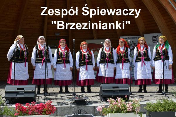 Zespół Śpiewaczy Brzezinianki - PIK