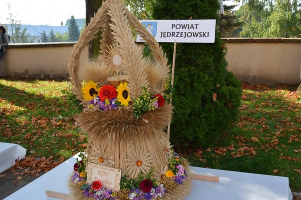 Powiat jędrzejowski - Fot. Agnieszka Markiton