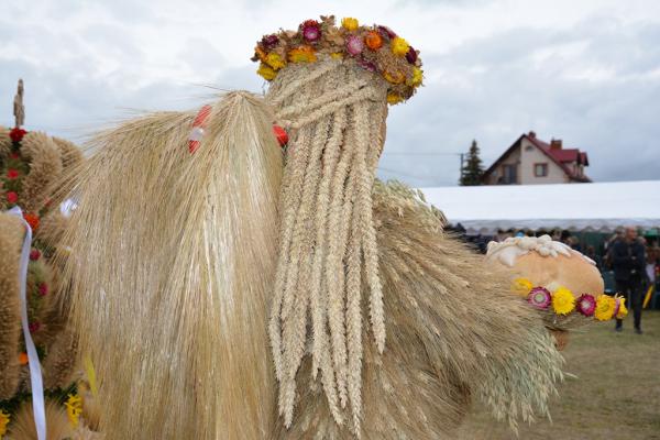 Wieniec powiatu ostrowieckiego - Fot. Agnieszka Markiton