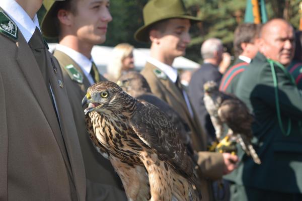 Ogólnopolski Hubertus Świętokrzyski 2015