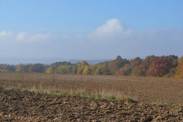 Panorama Bitwy pod Konarami - Fot. Agnieszka Markiton