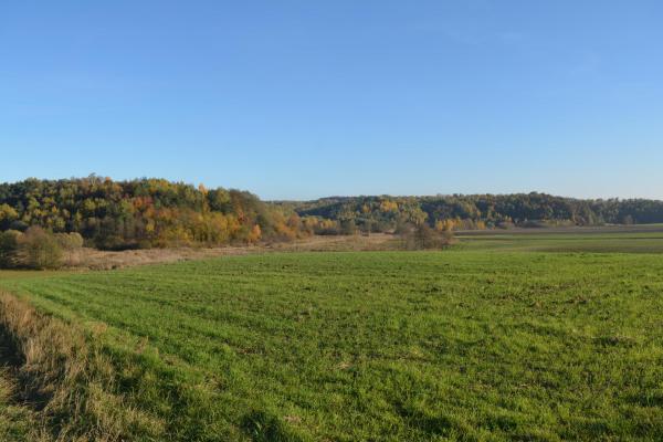 Wzgórza w okolicach Płaczkowic - Fot. Agnieszka Markiton