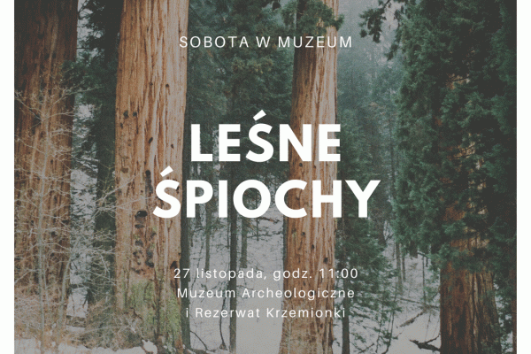 27.11. / W Muzeum Archeologicznym i Rezerwacie KRZEMIONKI najmłodsi dowiedzą się, jak zwierzęta szykują się do snu zimowego.