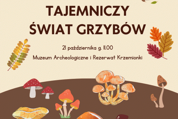 21.10. | Sobota w muzeum: TAJEMNICZY ŚWIAT GRZYBÓW 