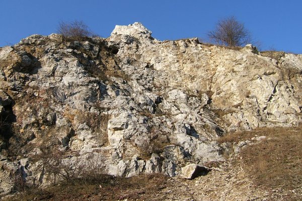 Rezerwat Przyrody Kadzielnia - Fot. Agnieszka Markiton