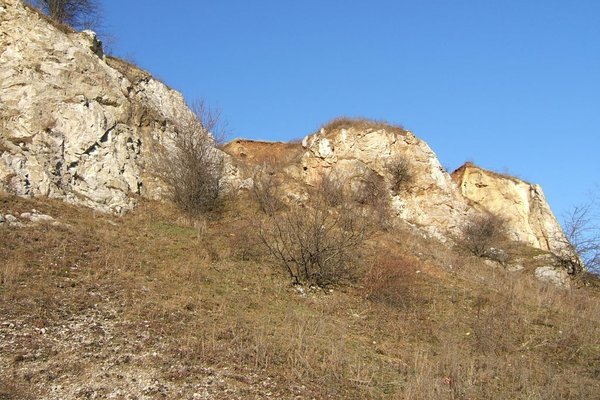 Rezerwat Przyrody Kadzielnia - Fot. Agnieszka Markiton