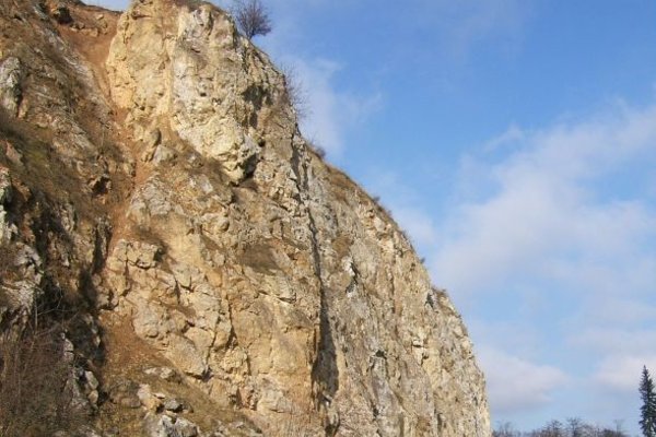 Rezerwat Przyrody Kadzielnia - Fot. Agnieszka Markiton