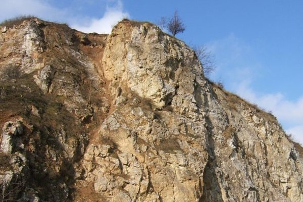 Rezerwat Przyrody Kadzielnia - Fot. Agnieszka Markiton