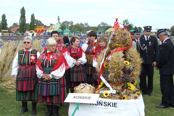 Dożynki wojewódzkie - Zdj. Marek Urbański