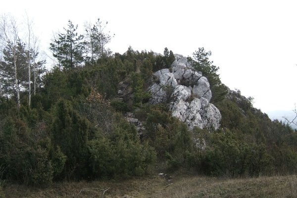 Rezerwat Przyrody Góra Miedzianka - Fot. Agnieszka Markiton