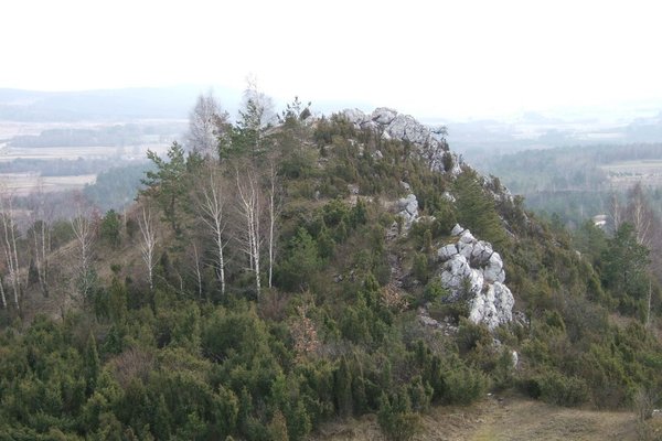 Rezerwat Przyrody Góra Miedzianka - Fot. Agnieszka Markiton