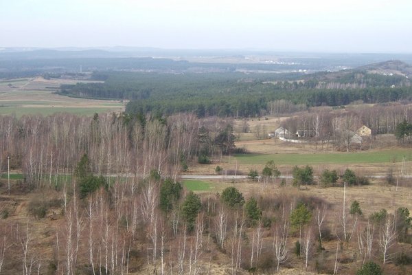 Rezerwat Przyrody Góra Miedzianka - Fot. Agnieszka Markiton