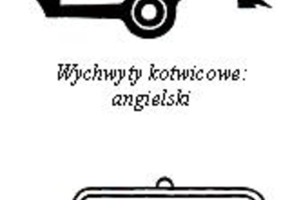 Niepokój jest zegarem - Wychwyty kotwicowe