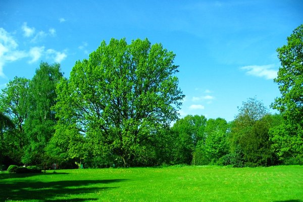 Pałacyk Henryka Sienkiewicza w Oblęgorku - ParkFot.  M.Gorzelak