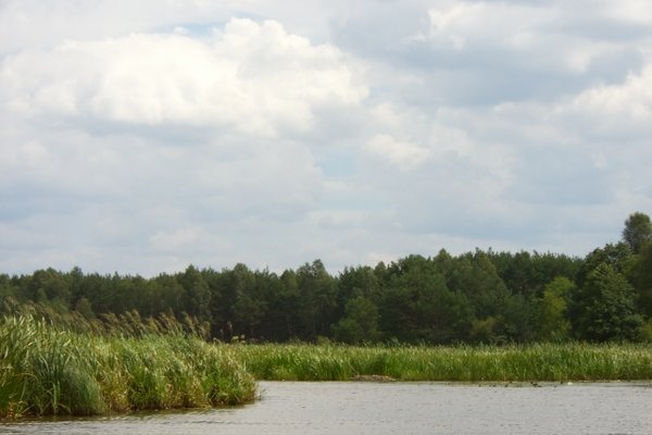 Sielpia i okolice - Cisza i spokój nad zalewem w Sielpi. Fot. Edyta Ruszkowska