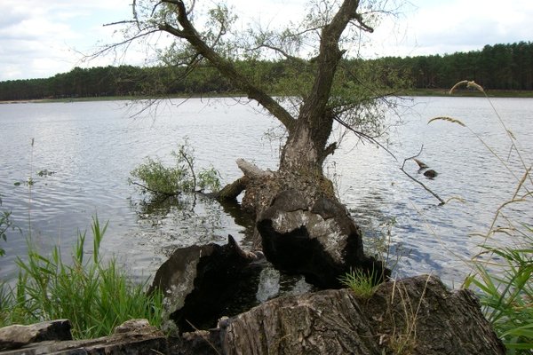 Sielpia i okolice - Zalew w Sielpi to raj dla miłośników wędkowania.Fot. Edyta Ruszkowska