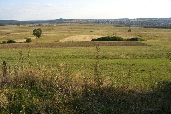 Cedzyna i okolice - W drodze z Kielc do Cedzyny. Fot. Edyta Ruszkowska