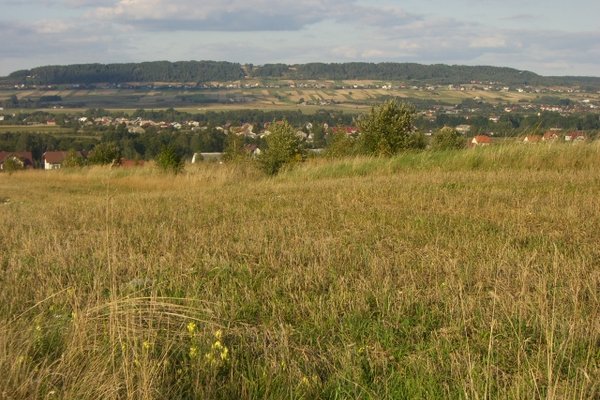 Cedzyna i okolice - Pasmo Masłowskie. Fot. Edyta Ruszkowska