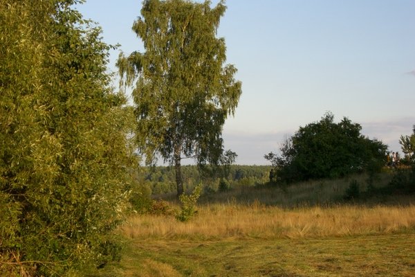 Cedzyna i okolice - Cedzyna to początek niebieskiego szlaku turystycznego. Fot. Edyta Ruszkowska