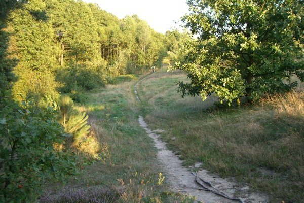 Cedzyna i okolice - Trasa rowerowa do Cedzyny. Fot. Edyta Ruszkowska